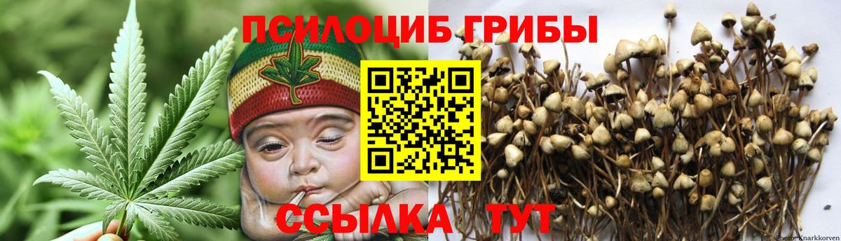 Галлюциногенные грибы ЛСД Сургут